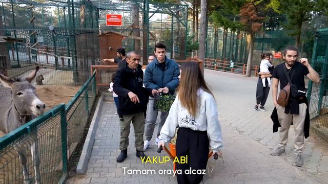 24 SAAT VAHŞİ HAYVAN BAKICISI OLDUK !? @AhmetCanDündar @Ahmet Can Dündar #24saat