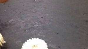 ТРЕСК НА CANON MF 3010?