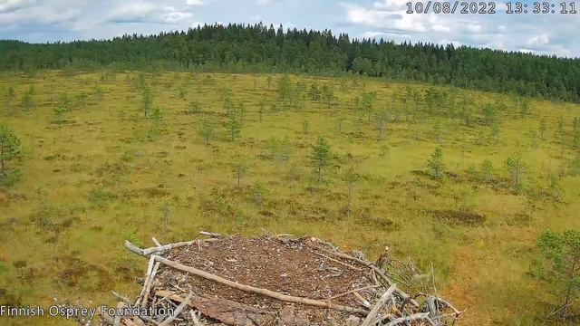 Video 2022 08 10 151705 первый полёт Тити смотреть онлайн