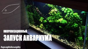 Запуск аквариума. Установка аквариума. Бюджетный аквариум