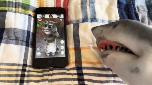 SB Movie: Shark Puppet plays Talking Tom!