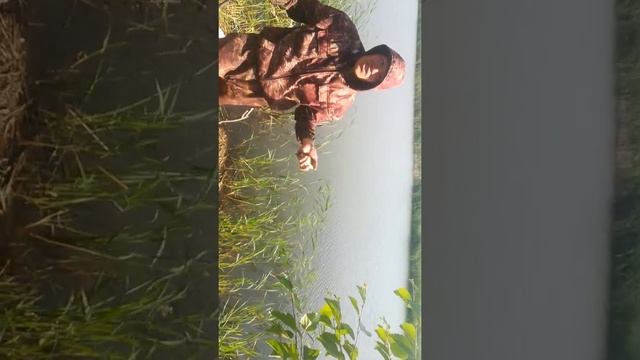 Рыбалка на зеркального карпа ?????? смотреть онлайн