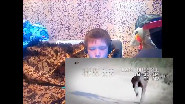 Информативное видео\Кто обитает на нашей планете очень страшное существо? смотреть онлайн