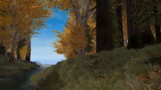 Skyrim (mods) - Spotlight On: Bigger Trees