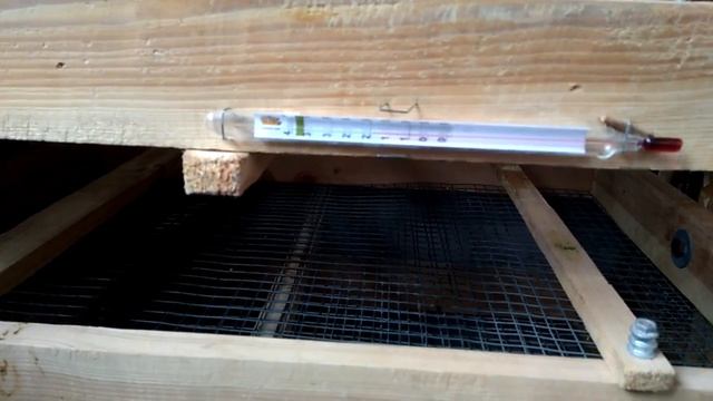 Обзор самодельного инкубатора
