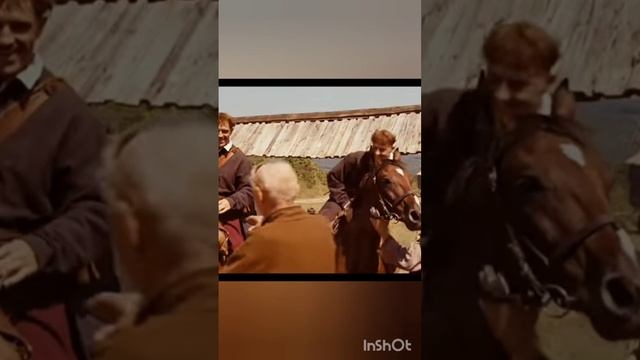 Любо братцы любо