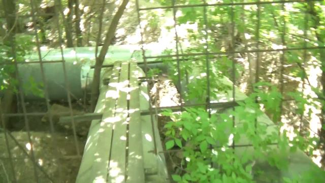 джунгли в Москве смотреть онлайн