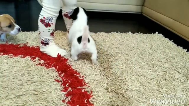 Расселятки от Шерлиз - Барик, Коряжма. смотреть онлайн