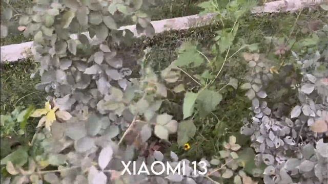 Samsung Galaxy A54 5G vs Xiaomi 13 Camera Test смотреть онлайн
