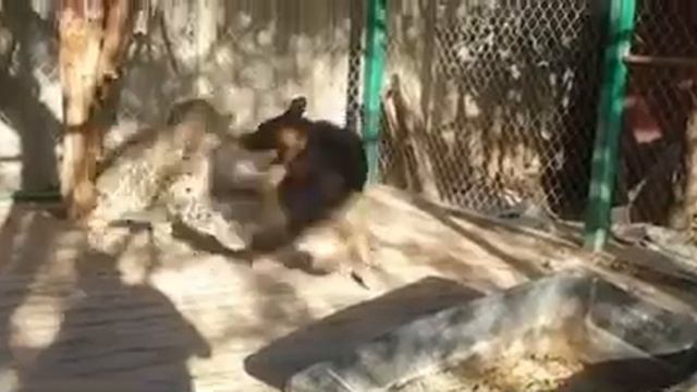 1 мая 2023 г. смотреть онлайн