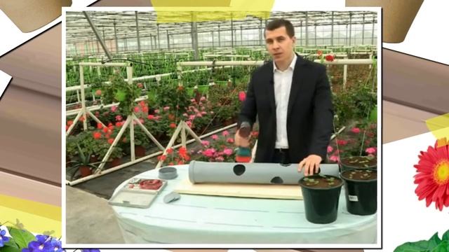 Вертикальная грядка смотреть онлайн