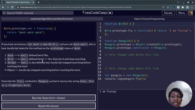 L22 - Override Inherited Methods | Object-Oriented Programming | freeCodeCamp смотреть онлайн