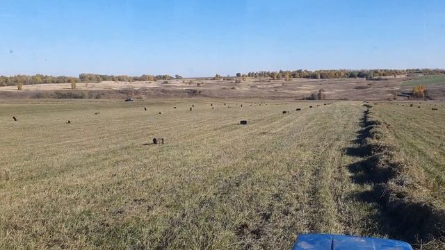 сенокос 2021 закончился. смотреть онлайн