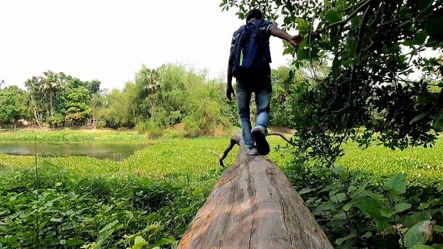 বিভূতিভূষণ অভয়ারণ্য | Parmadan Forest | Mangalgunj Nilkuthi | Mangalgunj Backpackers Camp | parmado смотреть онлайн