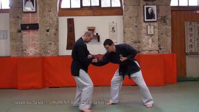 WAZA DU SENSEI 3: La technique de Laurent Boucher • Kokoro Ryu | tuto arts martiaux смотреть онлайн