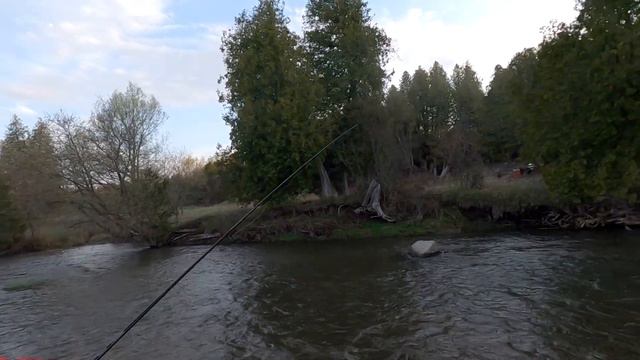 Неожиданно быстрая рыбалка... Форель. Сезон 2021 года. Май 02-е. смотреть онлайн