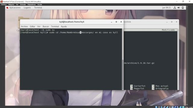 Instalación de TestLink 1.9.16 en RedHat 7.9 con MariaDB, Apache, phpmyadmin y PHP 5.6 смотреть онлайн