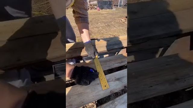 В свободное время от шитья, строю домики для собачек) смотреть онлайн