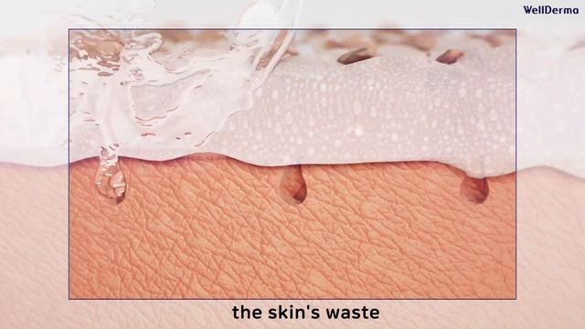 WellDerma SAPPHIRE LOW MOLECULE COLLAGEN PERFECT CLEANSING FOAM смотреть онлайн
