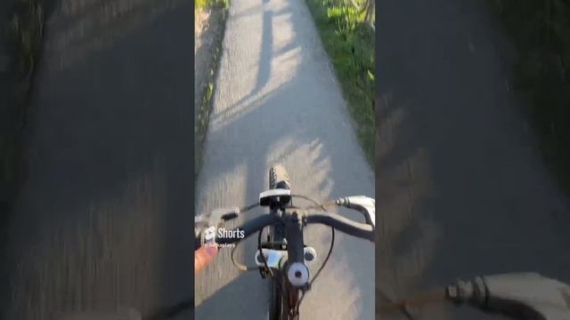 Мы катаемся 🚴🚴_♀️ #vlog #shorts смотреть онлайн