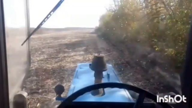 ACROS-595 Plus спас окончание основной уборки подсолнуха!?! ЮМЗ с ипо-6 Основные 450га позади. смотреть онлайн