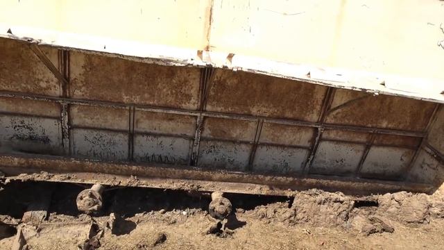 Brocc the Mink and Onsa the Lurcher Catch 63 Rats!!! смотреть онлайн