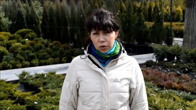 Садовый центр "ДаЛаС": наши преимущества смотреть онлайн
