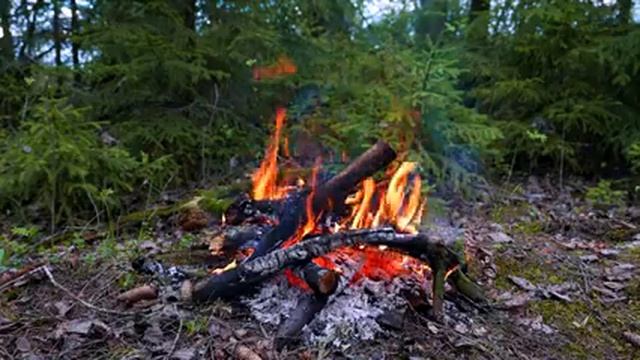? Crackling Campfire in the Forest (12 HOURS). Campfire with Crackling Fire Sounds. Campfire 4K смотреть онлайн