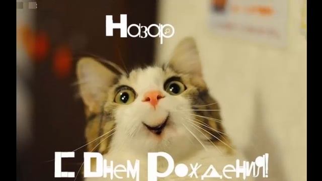 С днем рождения Назар смотреть онлайн