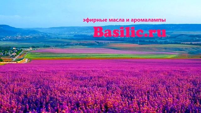 Аромалампа Гриб Боровик купить аромалампу смотреть онлайн