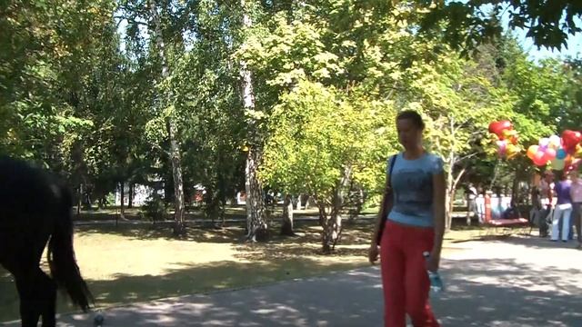 Novosibirsk смотреть онлайн