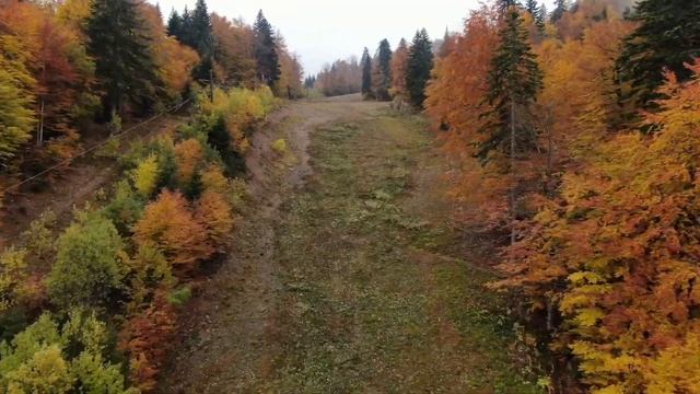 ОСЕНЬ 2021 КОЛАШИН/ЧЕРНОГОРИЯ / KOLASIN MONTENEGRO смотреть онлайн