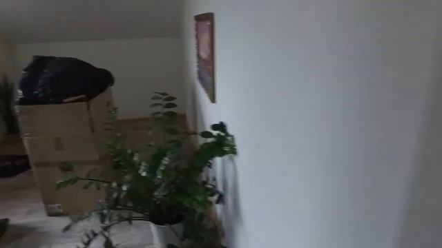 VLOG: РЕМОНТ ПРОДОЛЖАЕТСЯ! 11.08.20 смотреть онлайн