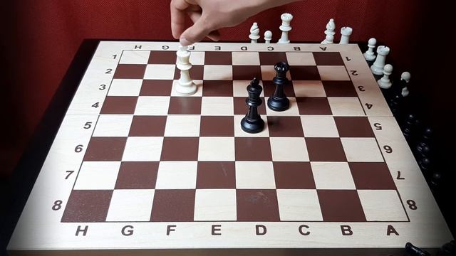 ЭТО ДОЛЖЕН ЗНАТЬ КАЖДЫЙ ШАХМАТИСТ. УРОКИ ШАХМАТ С НУЛЯ №2. КАК СТАВИТЬ МАТ ЛАДЬЕЙ ИЛИ ФЕРЗЁМ. смотреть онлайн