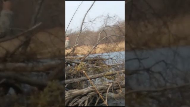 РЫБАЛКА УССУРИ . смотреть онлайн