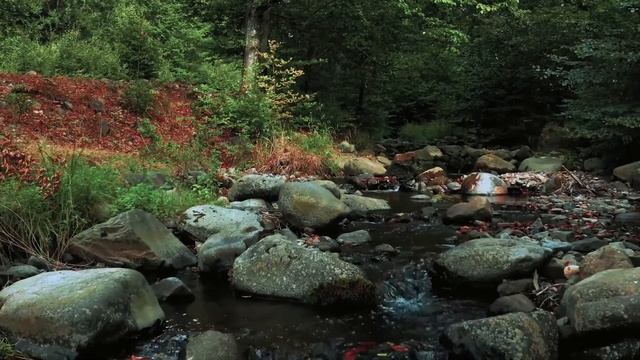 Узнала Всю Правду О Муже И ЗАБЕРЕМЕНЕЛА ОТ ДРУГОГО МУЖЧИНЫ. Что скрывал муж? Аудио рассказ История смотреть онлайн