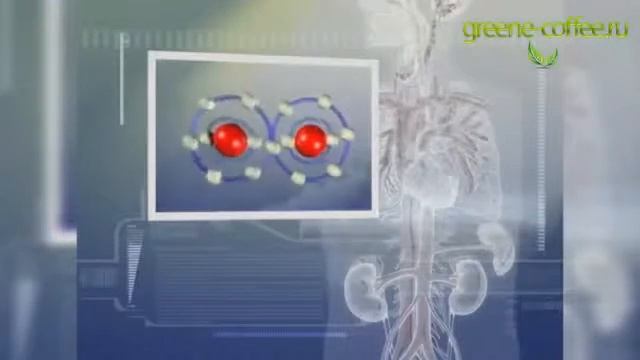 Зелёный кофе для похудения, вам поможет смотреть онлайн