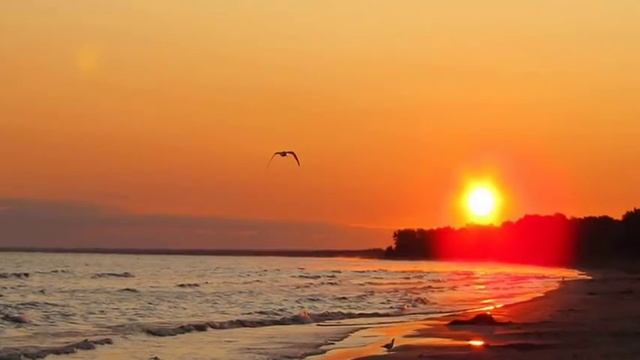 Richard Clayderman, Romeo And Juliet, Theme (HD)