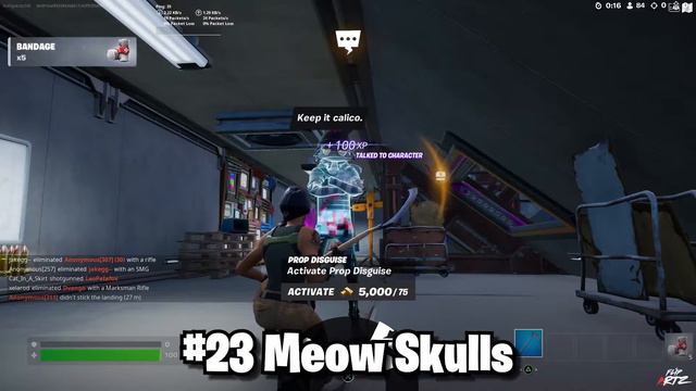 Fortnite Character #23 Location! "Meow Skulls" Locaiton! (Fortnite Chapter 3, Season 4) смотреть онлайн