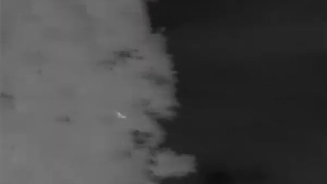 Thermal camera Tawny Owl смотреть онлайн