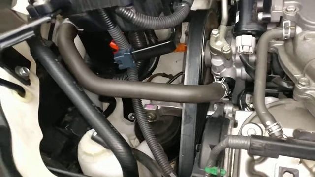 Honda Elysion RR3, RR4 Poly V Belt Replacement.