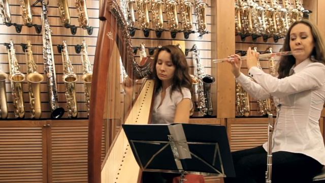 Флейта. Правильный выбор. Кельтская арфа и хрустальная флейта.