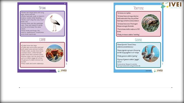 The Panchatantra Project- Worksheets Based on A Collection of Tales/Stories смотреть онлайн
