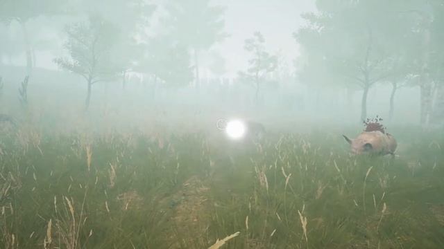 Lucid Cycle: Dreamscapes смотреть онлайн