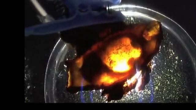 рождение акуленка смотреть онлайн