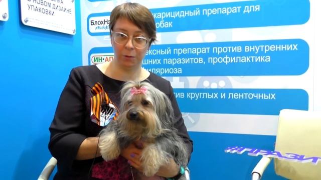 Празител Особый. Отзыв заводчика собак смотреть онлайн