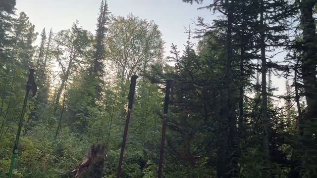 Пеший поход на Маньпупунёр. 10й и 11й дни. Тундра. Лес. Выброска.