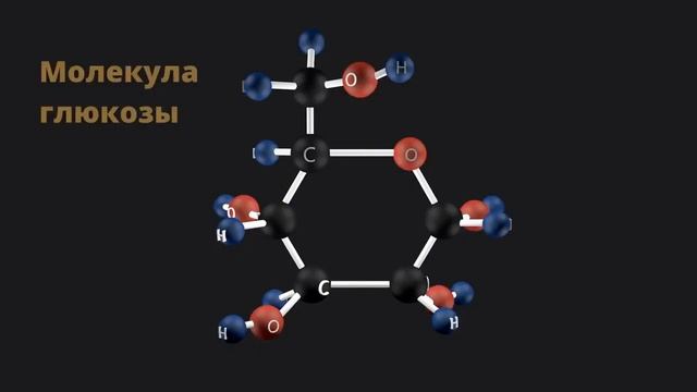 Перевозчикову. Коротко о фотосинтезе и зачем растению кислород кроме СО2. смотреть онлайн