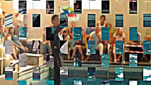 Как проходит шоу с дельфинами в Челнах смотреть онлайн