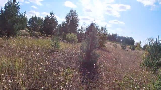 Охота на тетеревов,последняя с Иж 58 смотреть онлайн